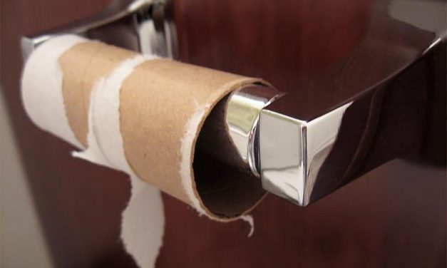 Reusable What? Getting Rid of the Toilet Paper!