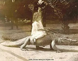 Her Pet Alligator, Chompers