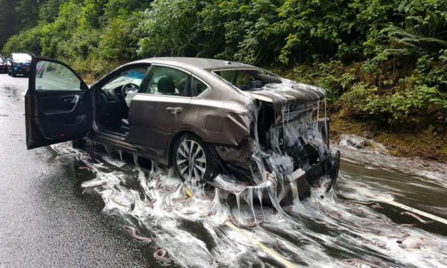 ‘Snot Snakes’ Create Goopy Traffic Mess in Oregon