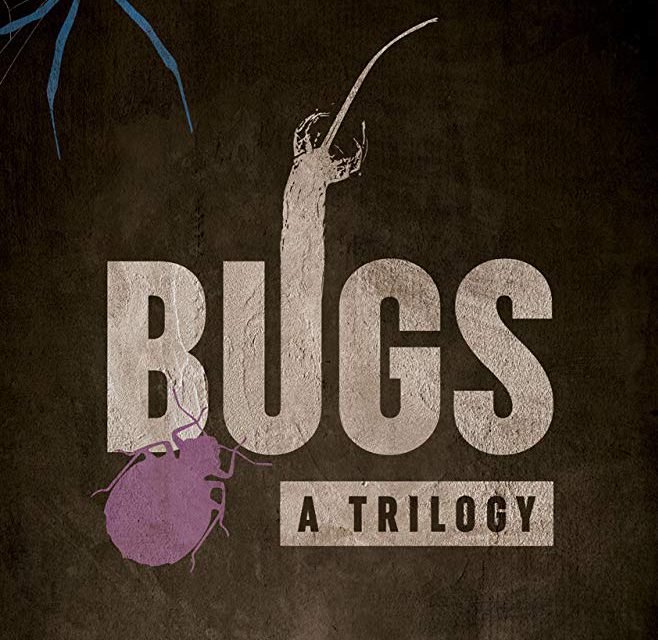 Interview With WiHFF Feature Film Nominee for BUGS: A Trilogy, Director Simone Kisiel
