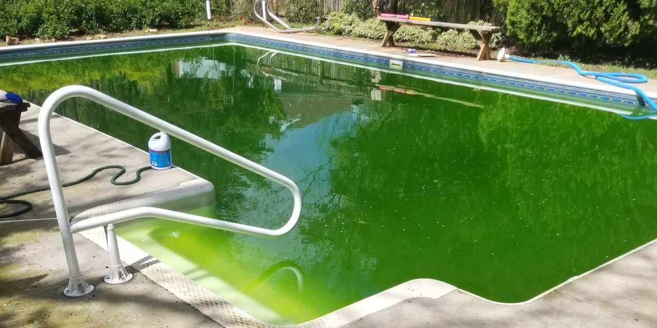 My Pool is Green and I Quit
