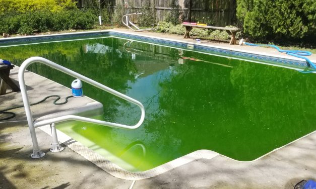 My Pool is Green and I Quit