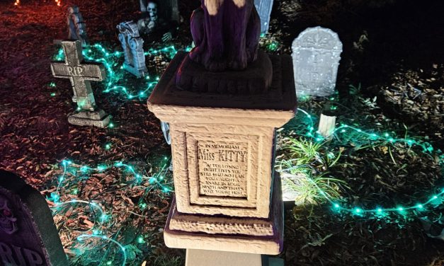My Halloween Decorations are going well.